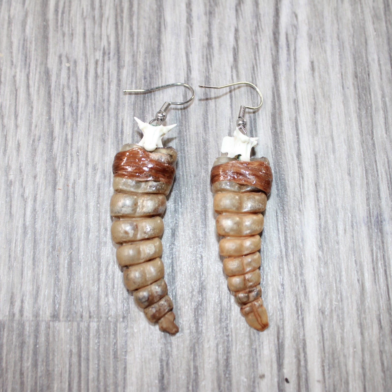 Large Rattlesnake Rattle Earrings  #4562  Mountain Man Earrings