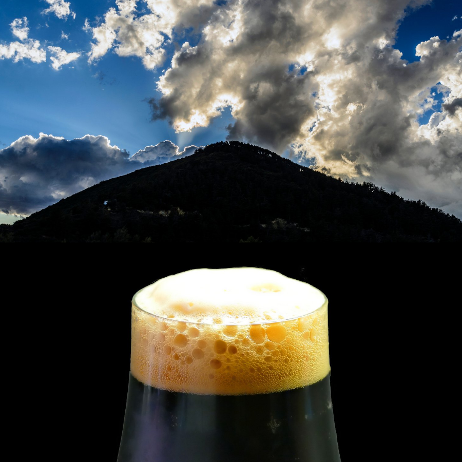 BLACK HILLS PORTER Homebrew Beer Recipe Ingredient Kit