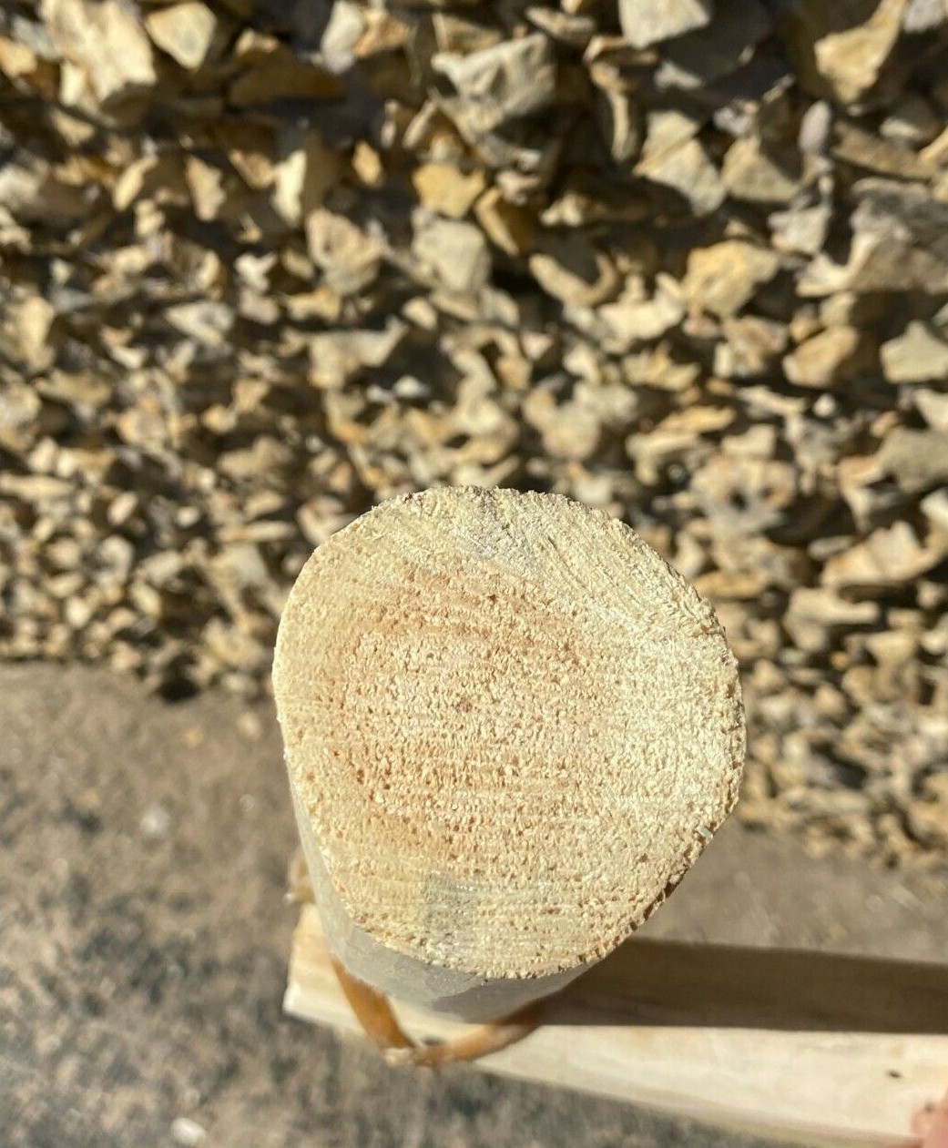 KIVA LADDER, TARAHUMARA 4 FEET TALL,RUSTIC DECOR, BLANKET LADDER ,MADE IN MEXICO