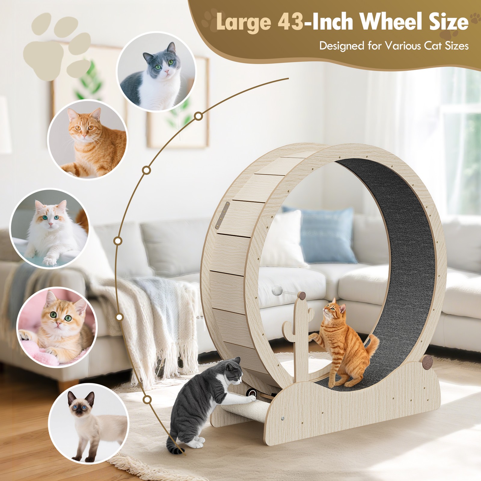 Large Cat Exercise Wheel 43" Solid Wood Cat Treadmill with Lock for Indoor Cats