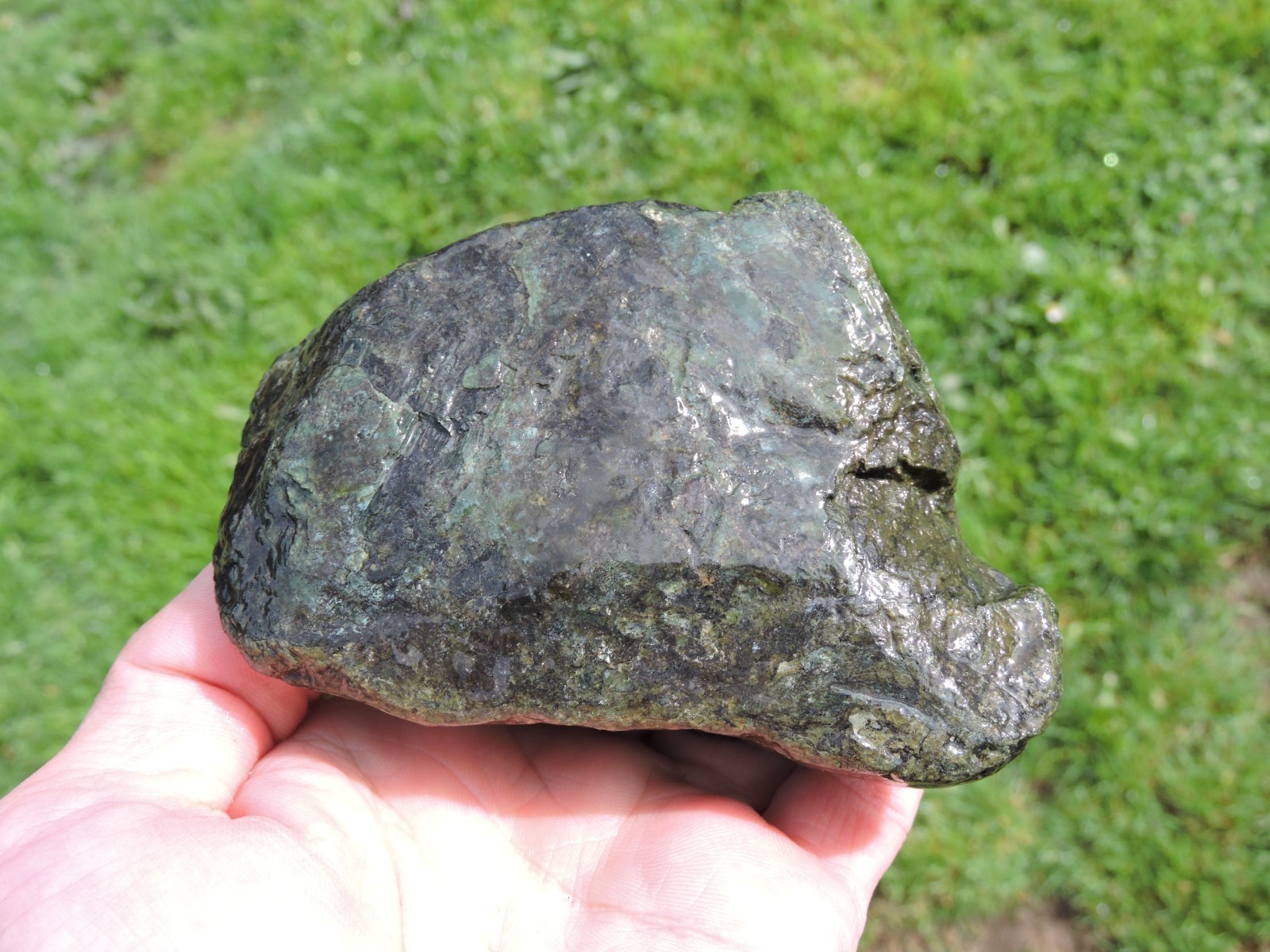 OREGON DARK GREEN SERPENTINE Rough Stones. *MAGNETIC* 100% Natural (8 lb)