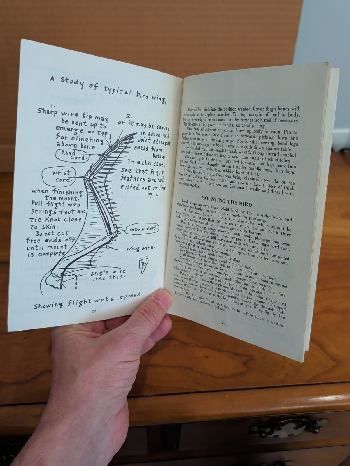 The Pheasant Mounting Book by Leon Pray 1956 Paperback Modern Taxidermist