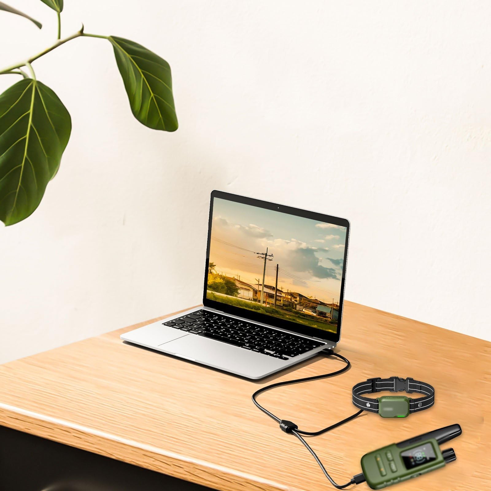 MEROM for Jugbow Dog Shock Collar Charger Replacement, 80 centimeters, Black