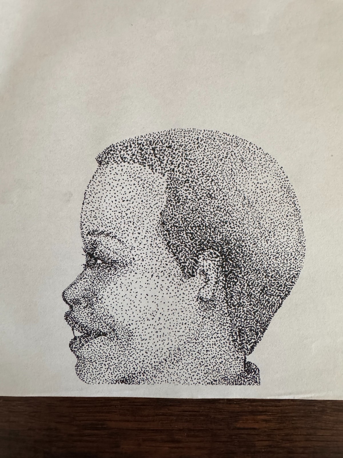 Original Pointillism Young African-American Woman Pen Portrait Drawing 8.5"x11"