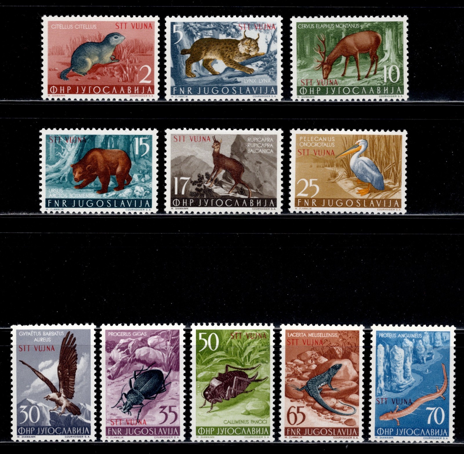 Yugoslavia Trieste Zone B Sc#93-103, Animals, Birds, Insect Types of 1954 MNH OG