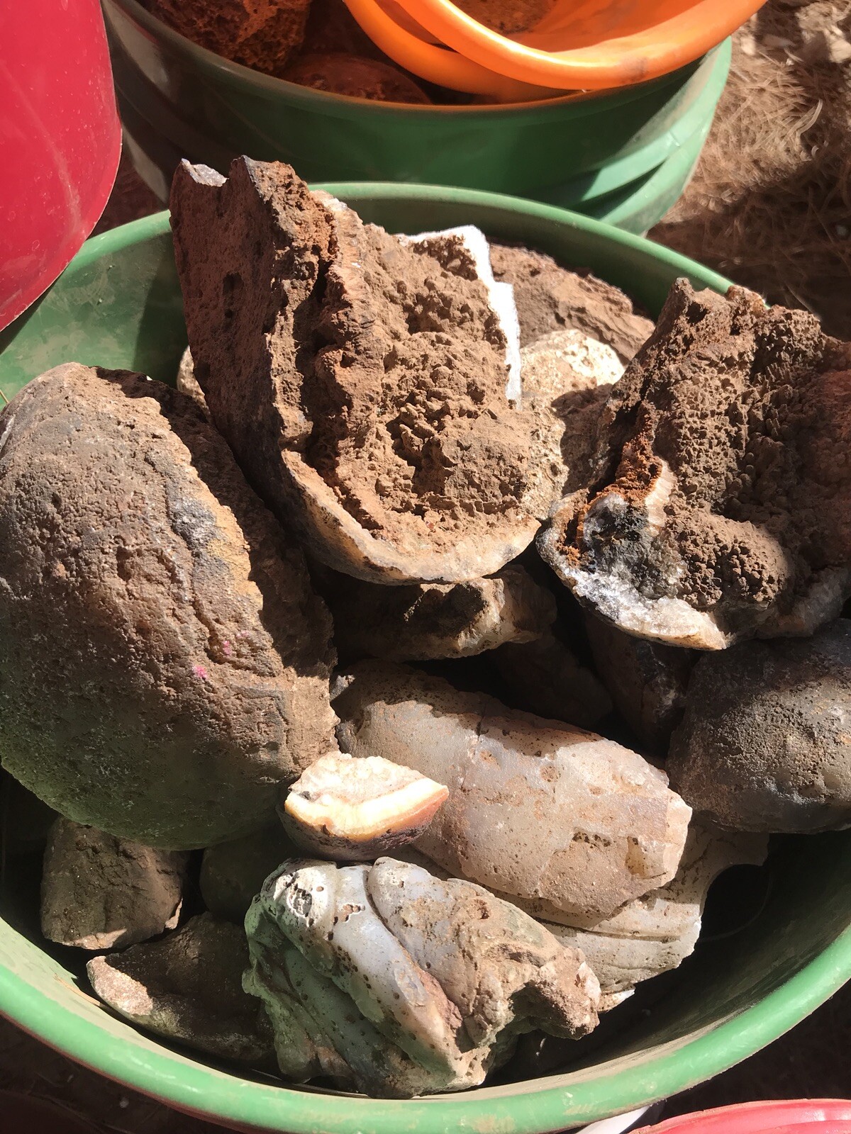 Colorful Agates From o6 Kokernot West Texas Ranch: Agate Rough Lapidary Rock