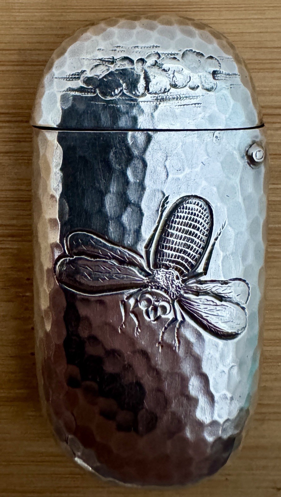 RARE DOMINICK HAFF AESTHETIC BUGS HAMMERED STERLING MATCH SAFE VESTA CASE C 1880