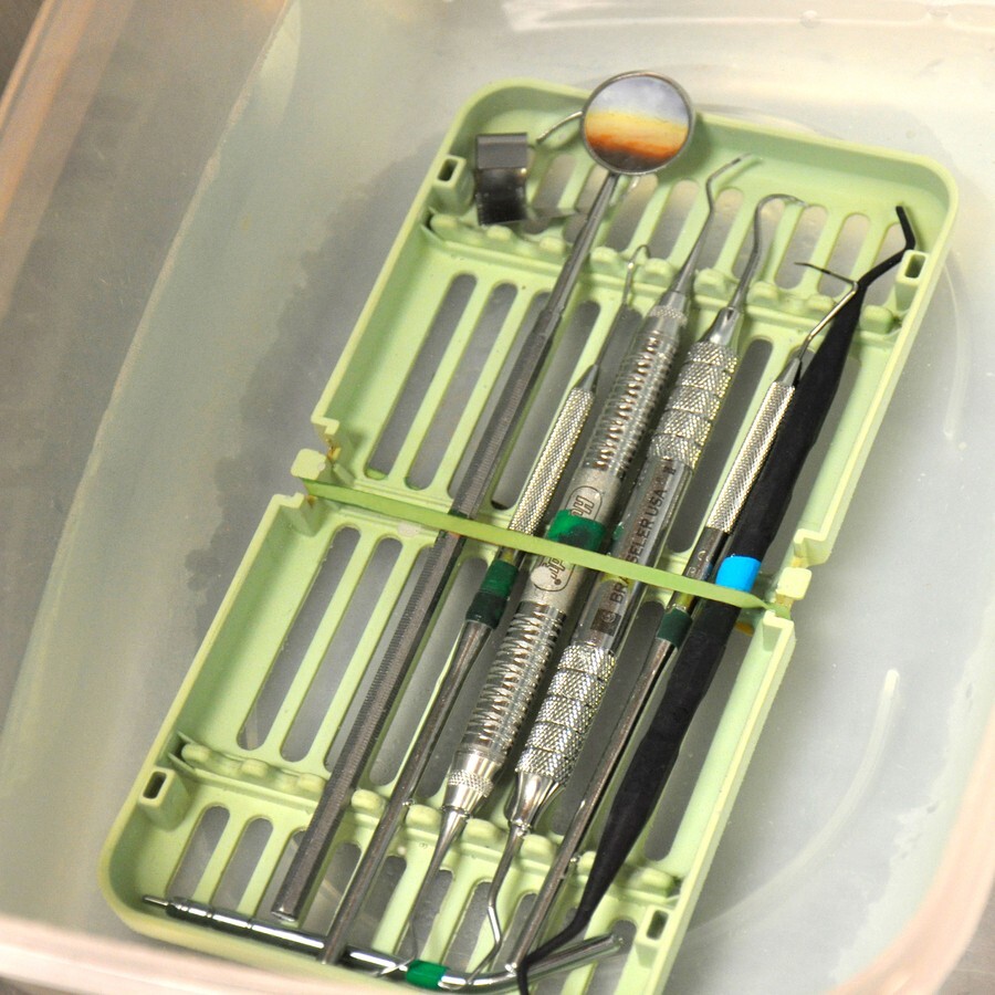 Alliance Rubber Blue Broccoli PFP Bands 2" x 1/2" #81 1 LB Bag Broccoli/Produce