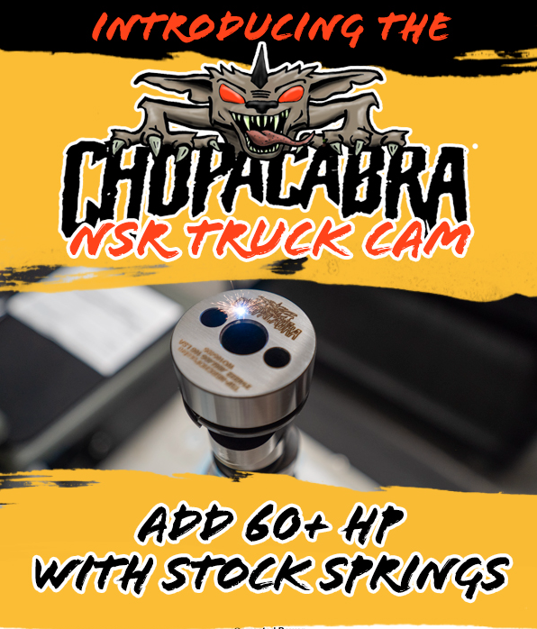 Texas Speed TSP Chopacabra NSR No Springs Required Camshaft 4.8 5.3 6.0 6.2 Cam