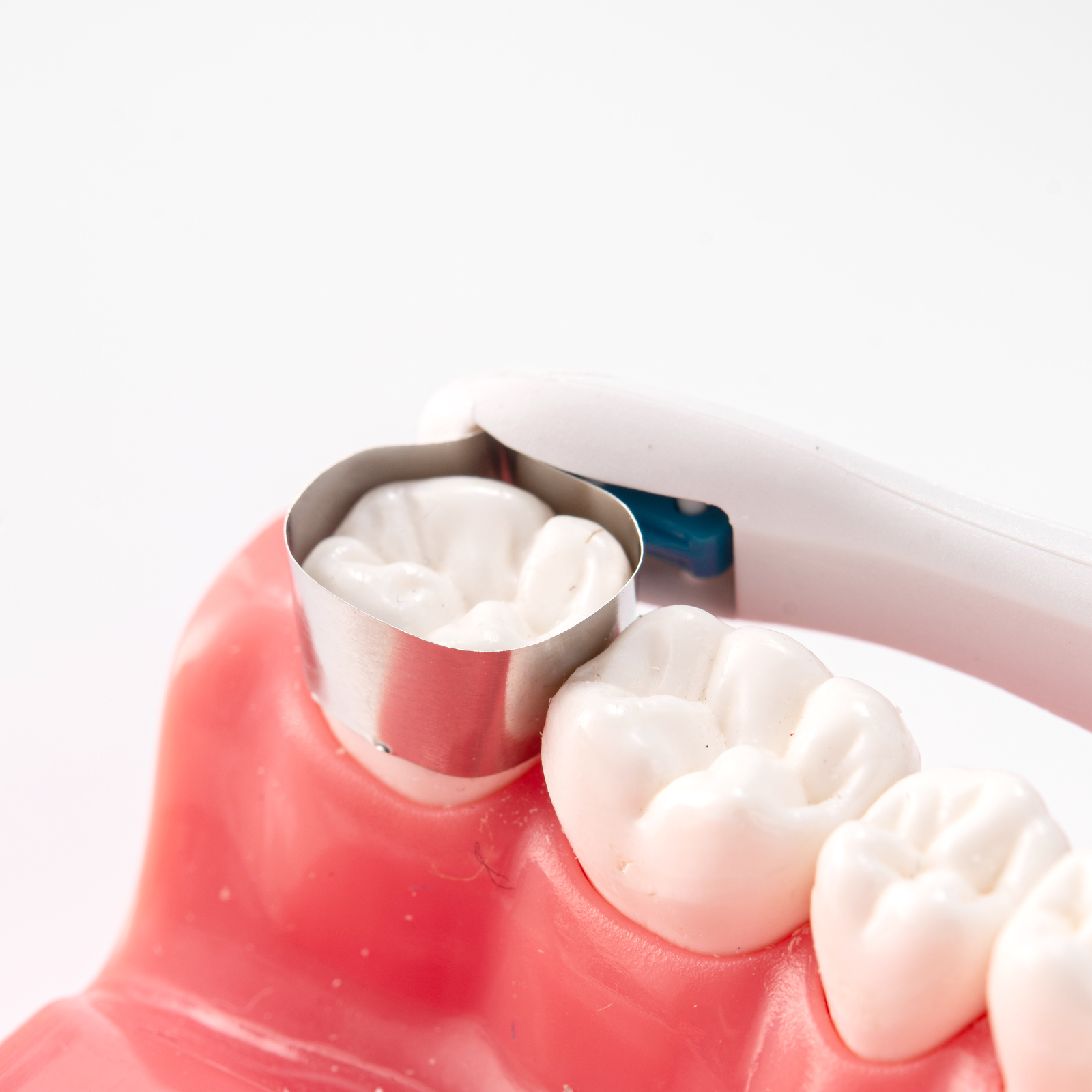 Dental Matrix Bands Pro Metal Adjust hold Premolar/Molar Matrices Bands 50pc