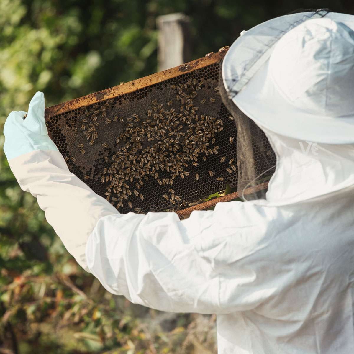 Beekeeping Gloves Goatskin Bee Keeping with Vented Beekeeper Long Sleeve protect