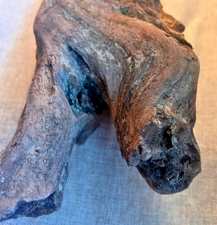 18" x 5" Redwood Driftwood Organic Craft Aquarium Rustic Boho Natural Wood