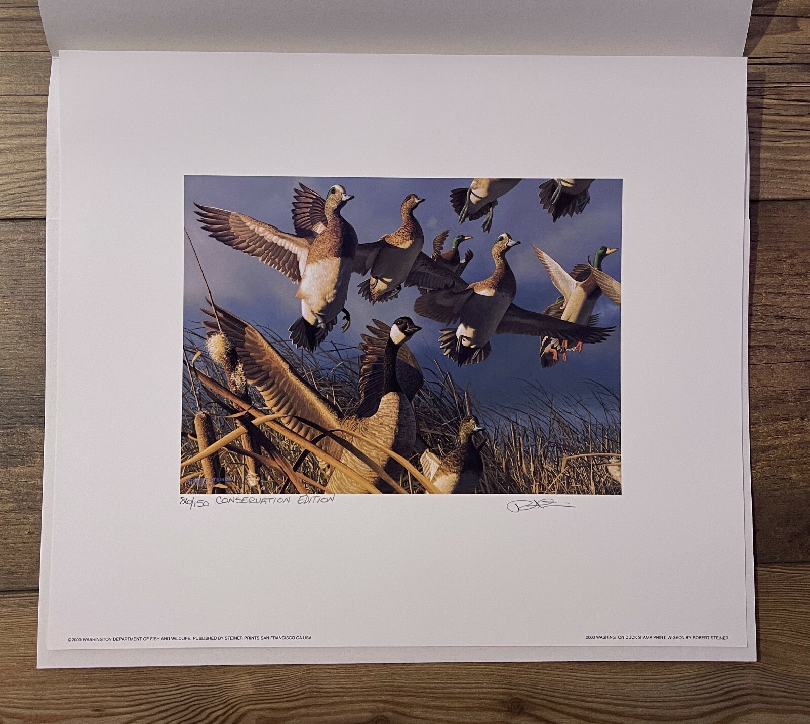 2000 Washington State Duck Stamp Print *ROBERT STEINER* Conservation Ed #86/150