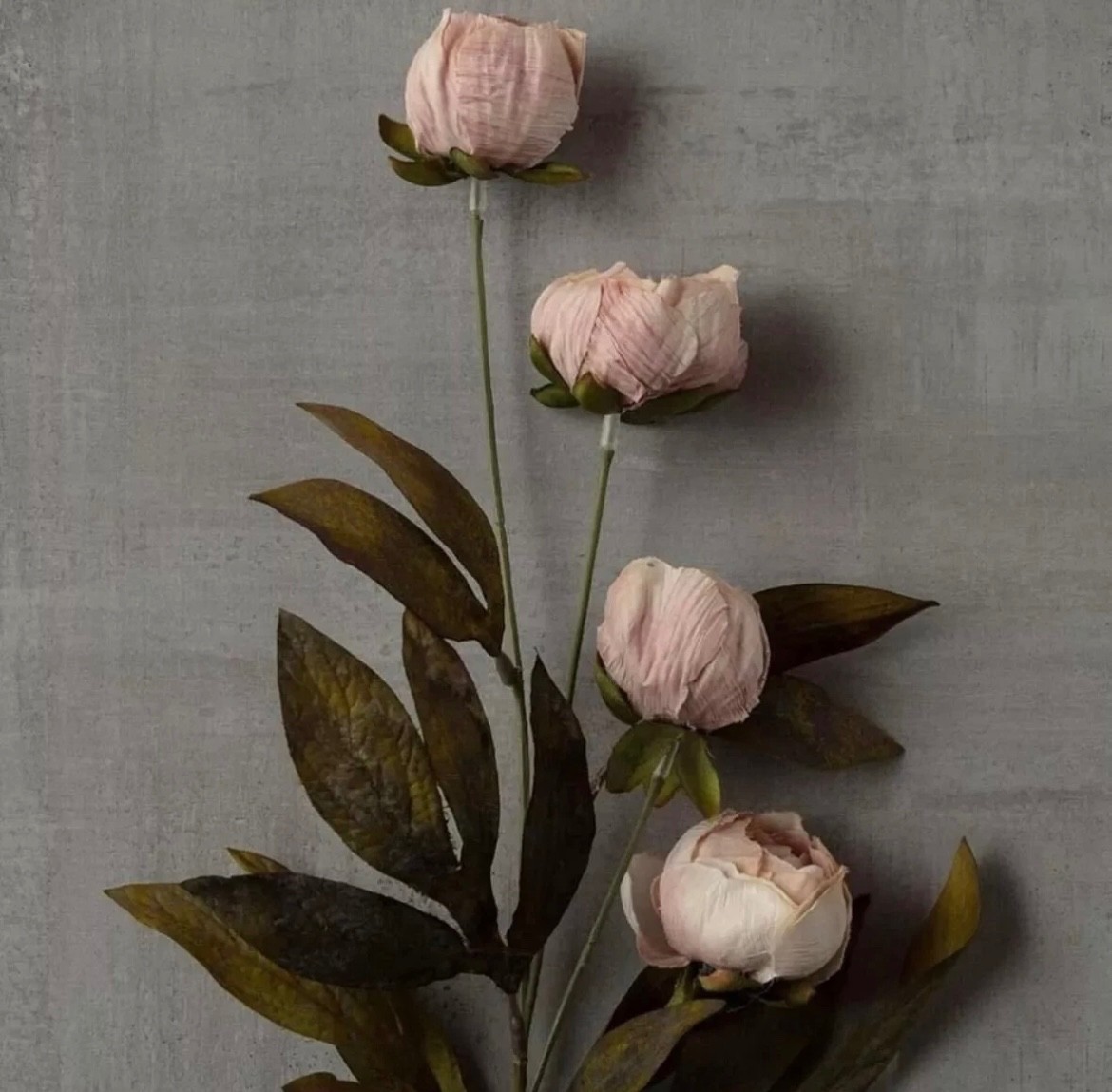 Set of 8 Stems - Viral Ashland Michael's Set of 8 Tan Peony Stems