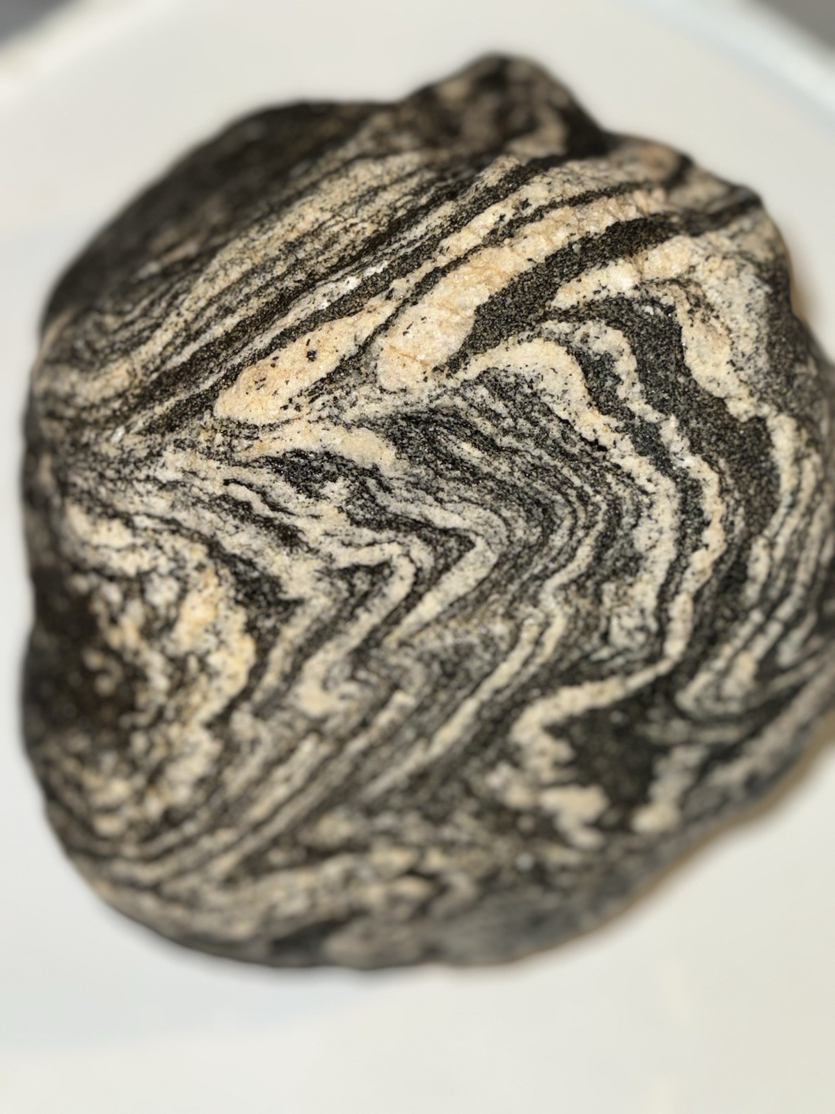 Rocks For Sale EXCELLENT MOJAVE GNEISS