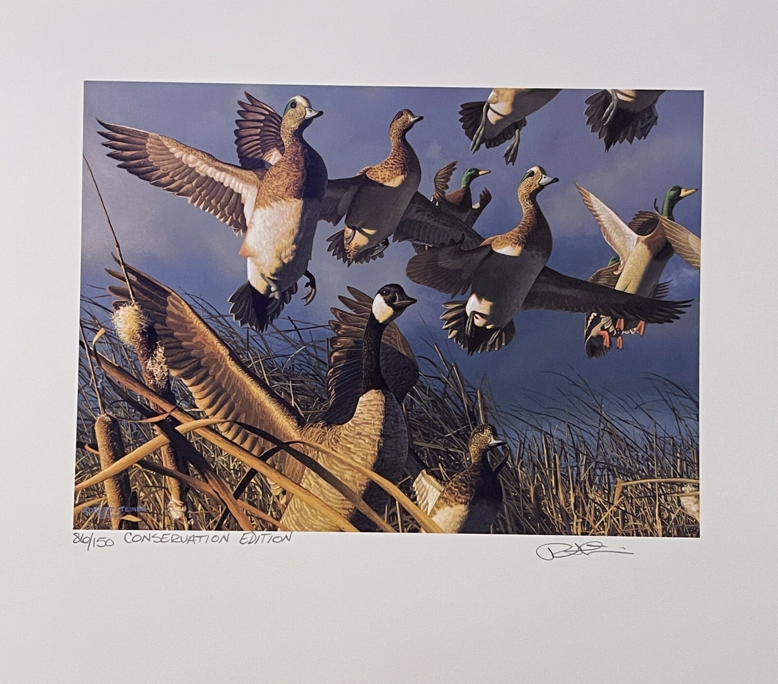 2000 Washington State Duck Stamp Print *ROBERT STEINER* Conservation Ed #86/150