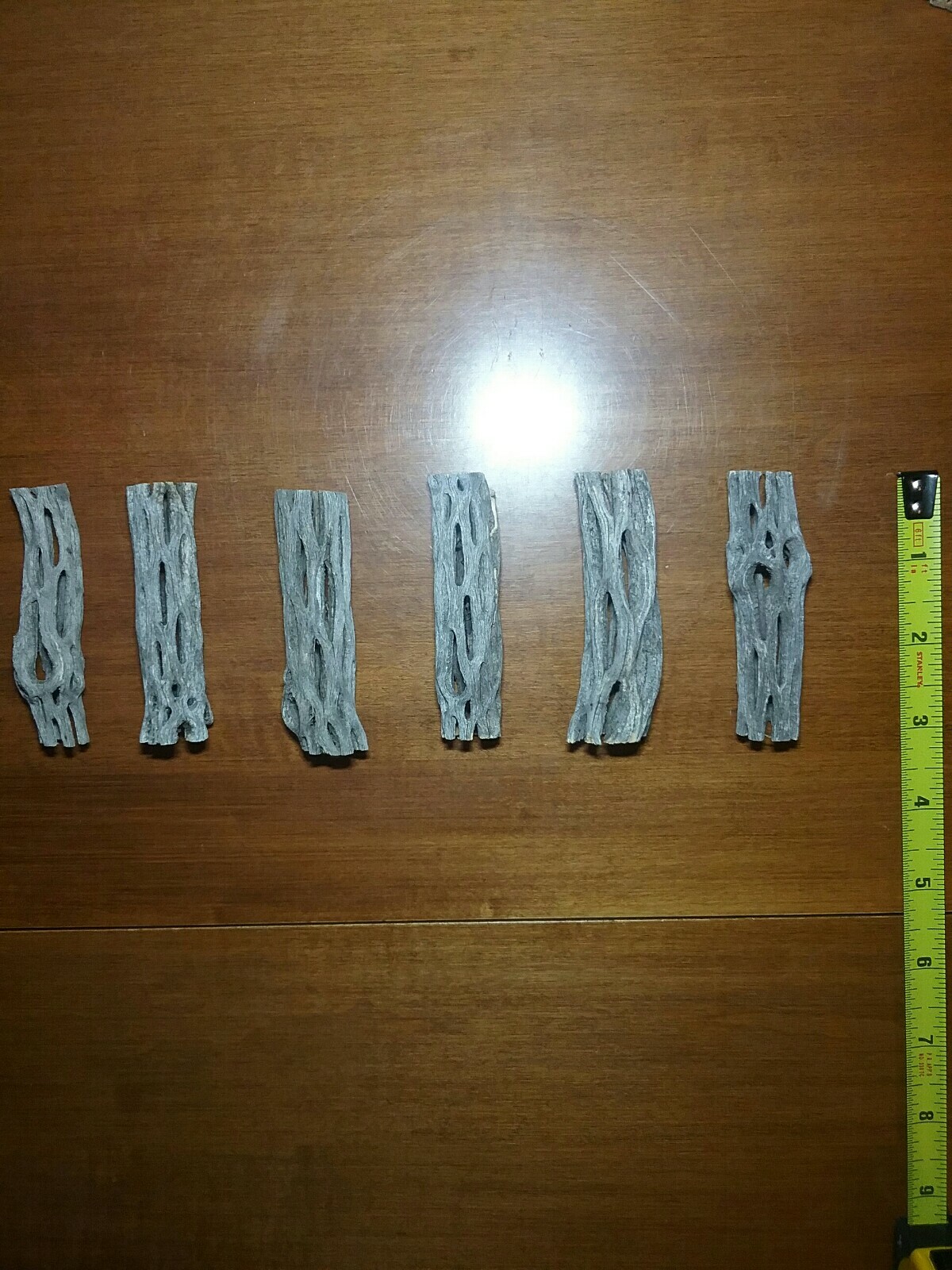 6 Pieces 3" inch CHOLLA Wood Cactus | Organic, Untreated | Shrimp Aquarium NICE!