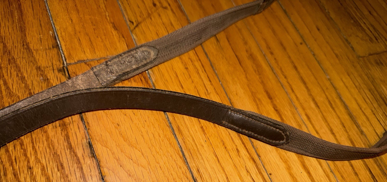 Leather Horse Head Gear and Leather/Nylon Reins