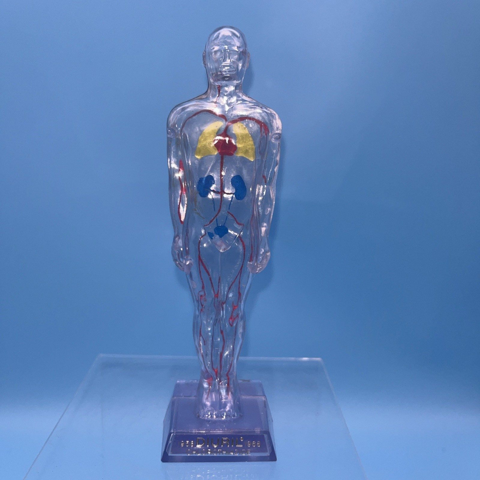 1968 Diuril Drug Rep Advertising Clear Human Body Figure Blood Pressure Medicine