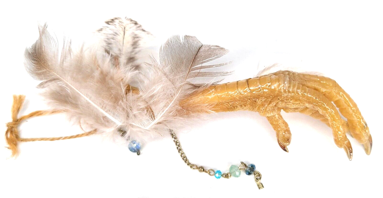 Good Luck Charm Lucky Charm Chicken Foot Voodoo Protection Occult Items Oddity