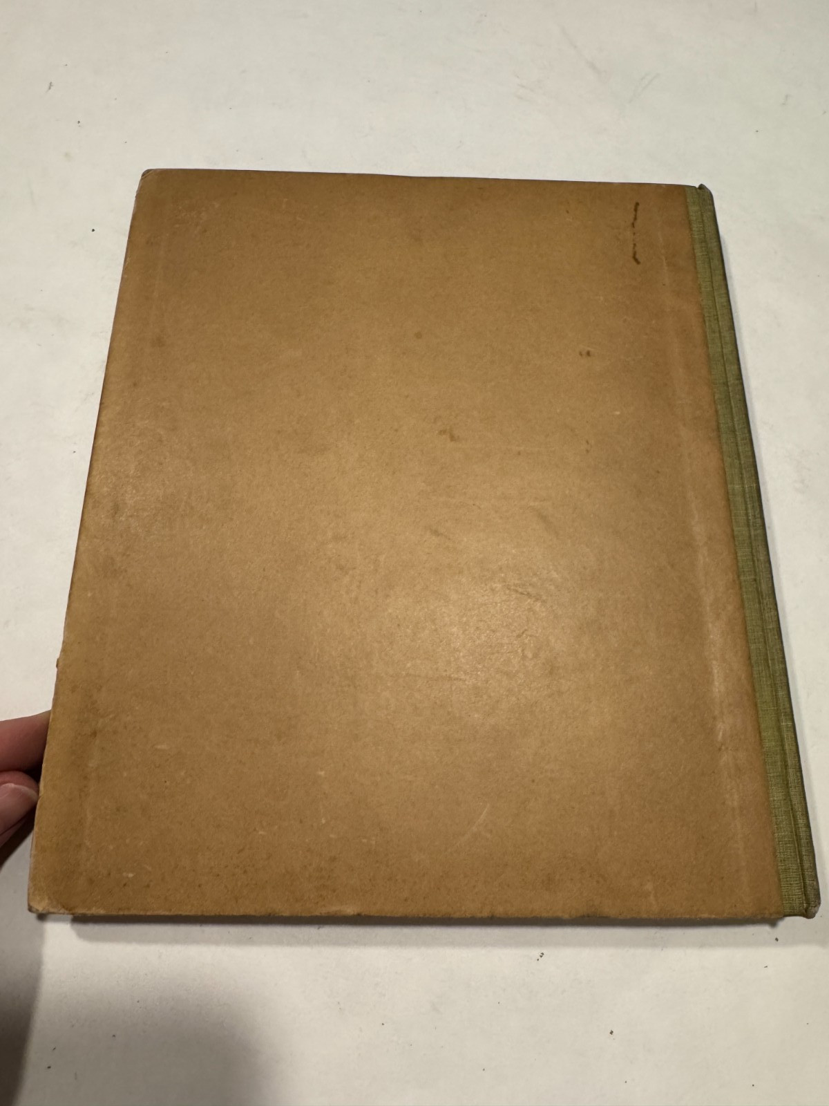 SIGNED BY AUTHOR! Willie and His Papa F. Opper 1901 Book McKinley Teddy Satire