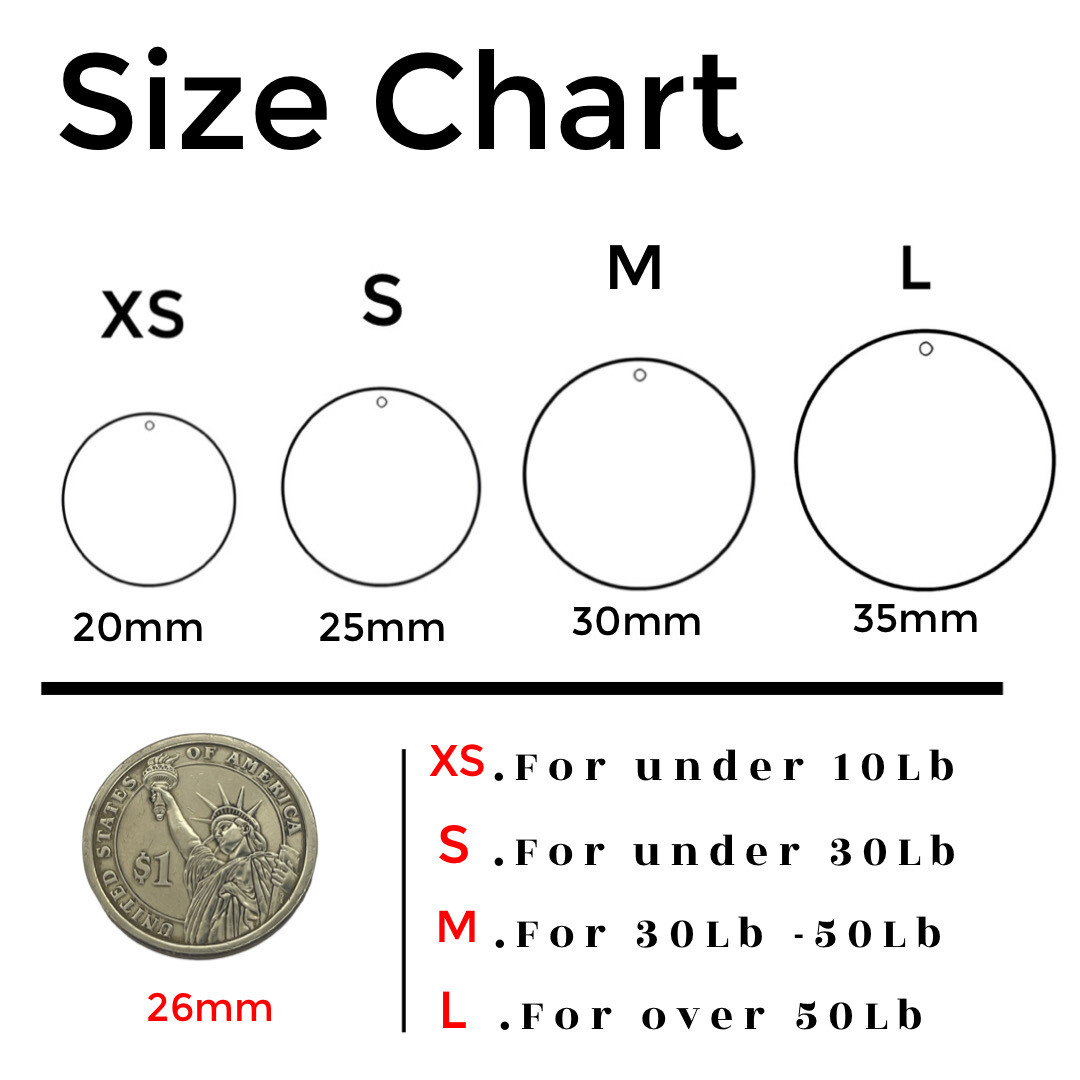 Pet Tags,Stainless Steel Charm,Personalized Engraved Dog Cat Name Tag,ID Tags