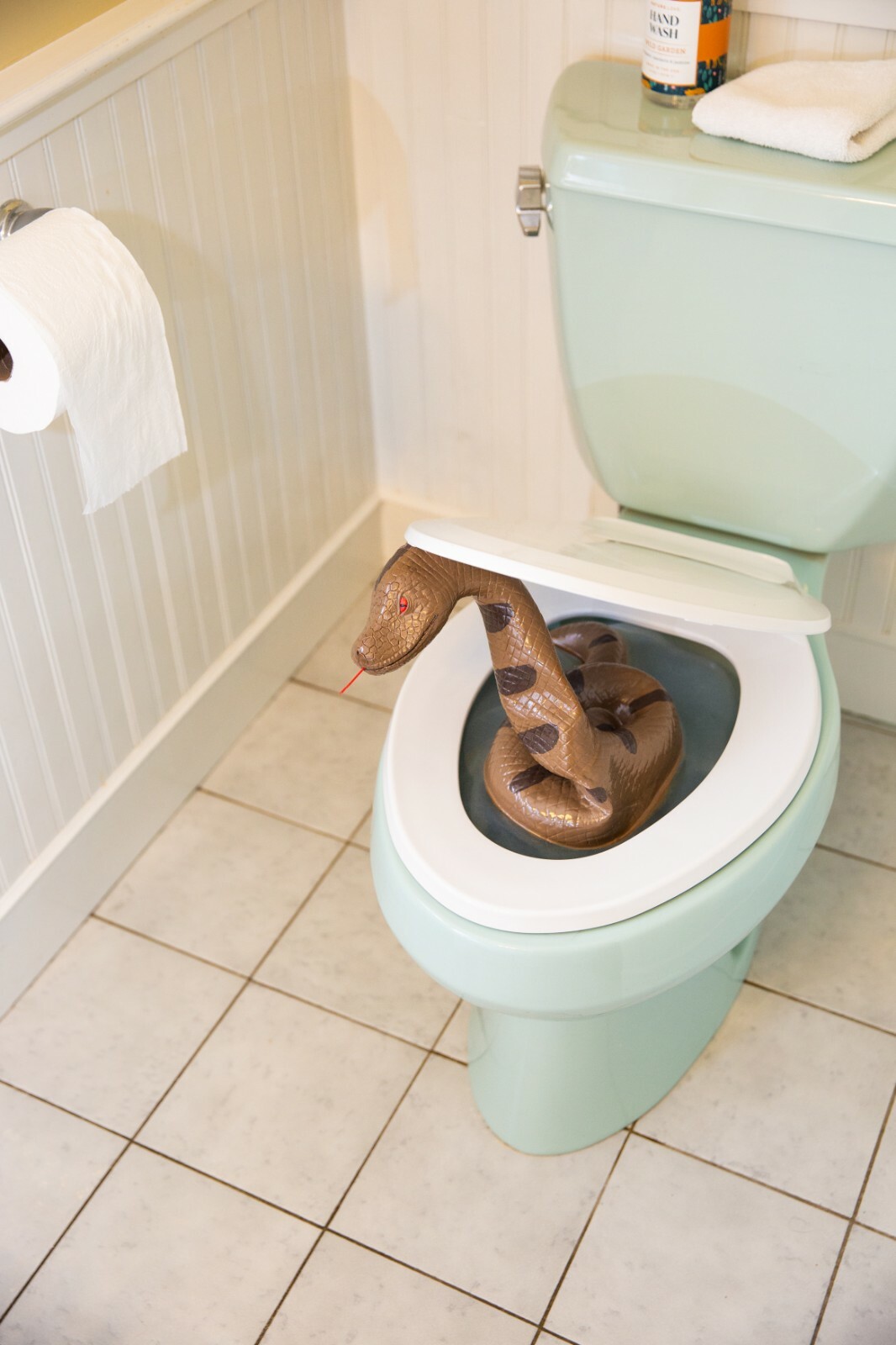 Snake Toilet Bowl Monster - Hisss-terically funny! Bathroom Scary Gag Prank Joke