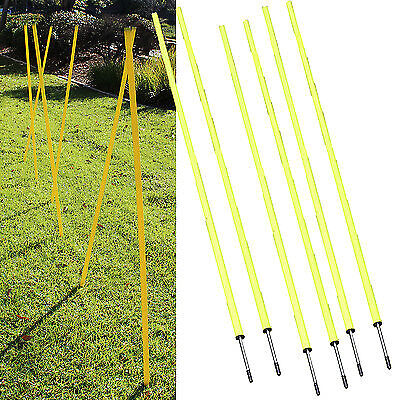 6 Pieces ~ Dog Agility Equipment Stick in the Ground Weave Pole w/Spike 5ft tall