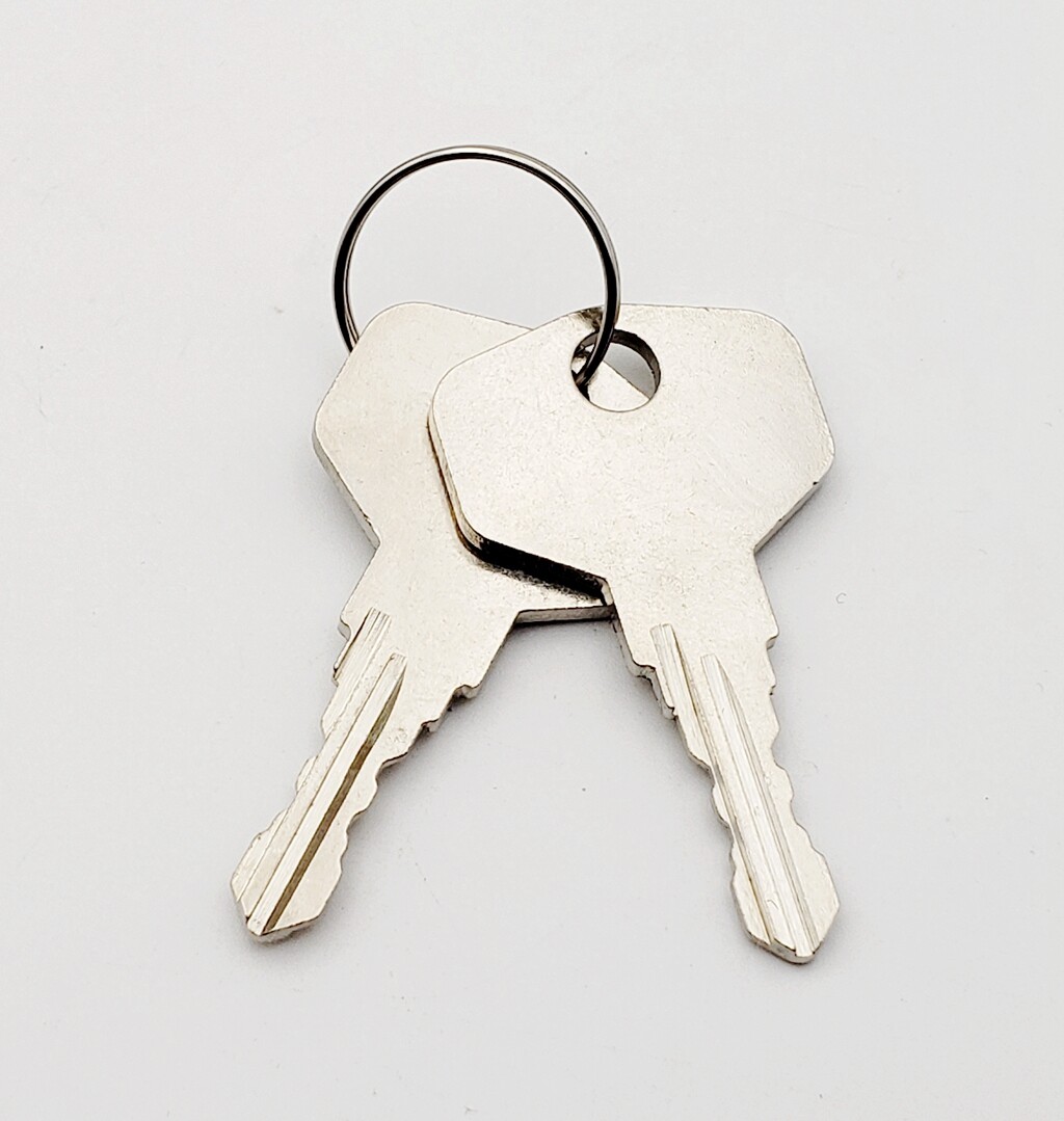 Dell Server Rack Cabinet KEY for 4210, 4220, 2410, 2420