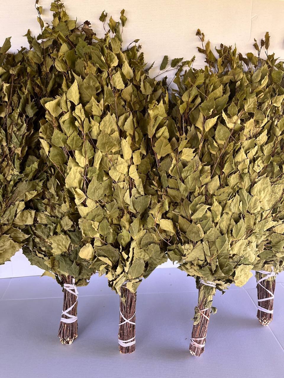 12 Birch brooms NEW SEASON 2025 sauna banya venik Eiche whisks eco Ukrainian