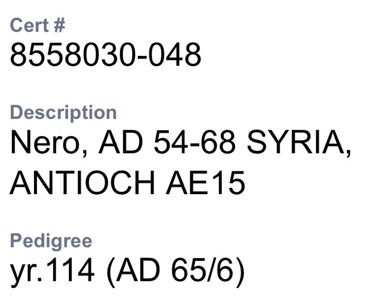 Emperor Nero 65-66AD Antioch Under Roman Rule Fire Alter NGC Ancient Coin Scarce