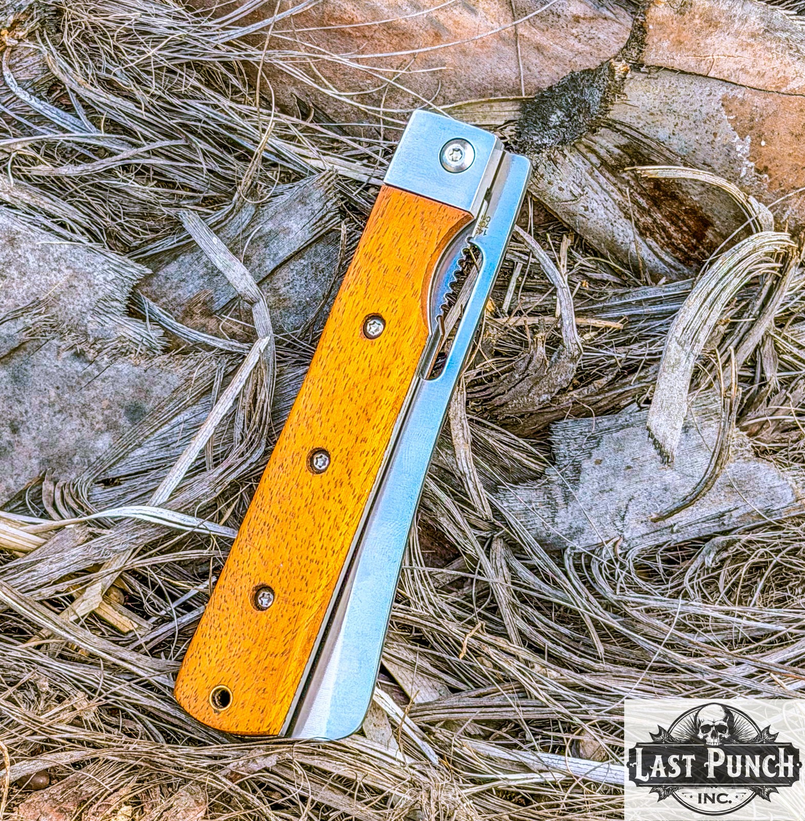 9" Serrated Blade Liner Lock Chef Kitchen Pocket Folding Knife Steel Bolster Wo