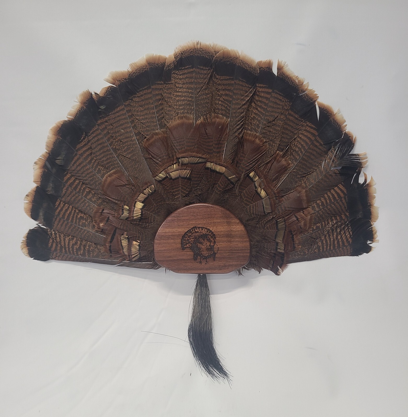 Walnut Turkey Fan Display Kit with Lazer Engraving