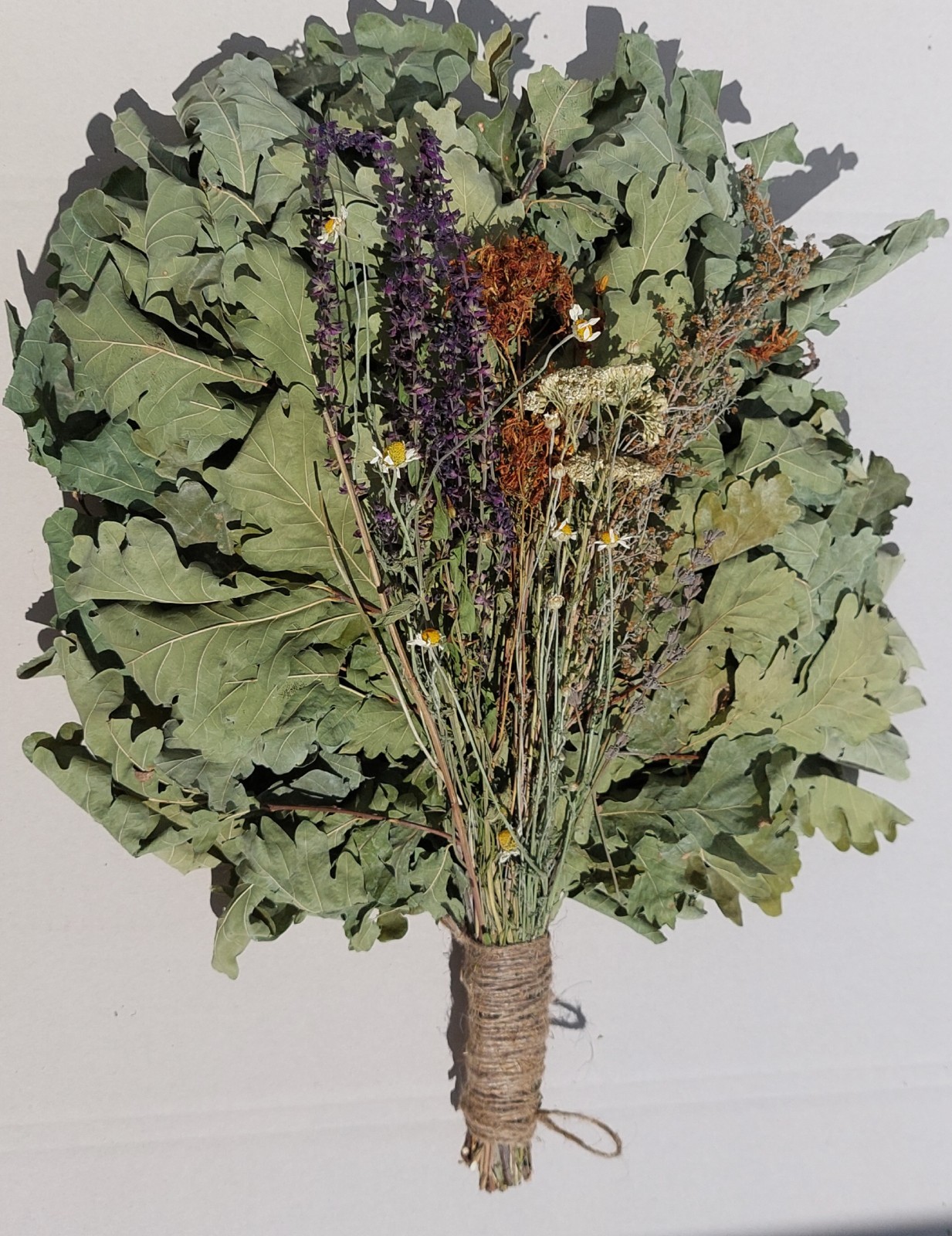 18st Oak brooms+herbs sauna banya venik whisks Eiche eco 2025 Ukrainian free shi