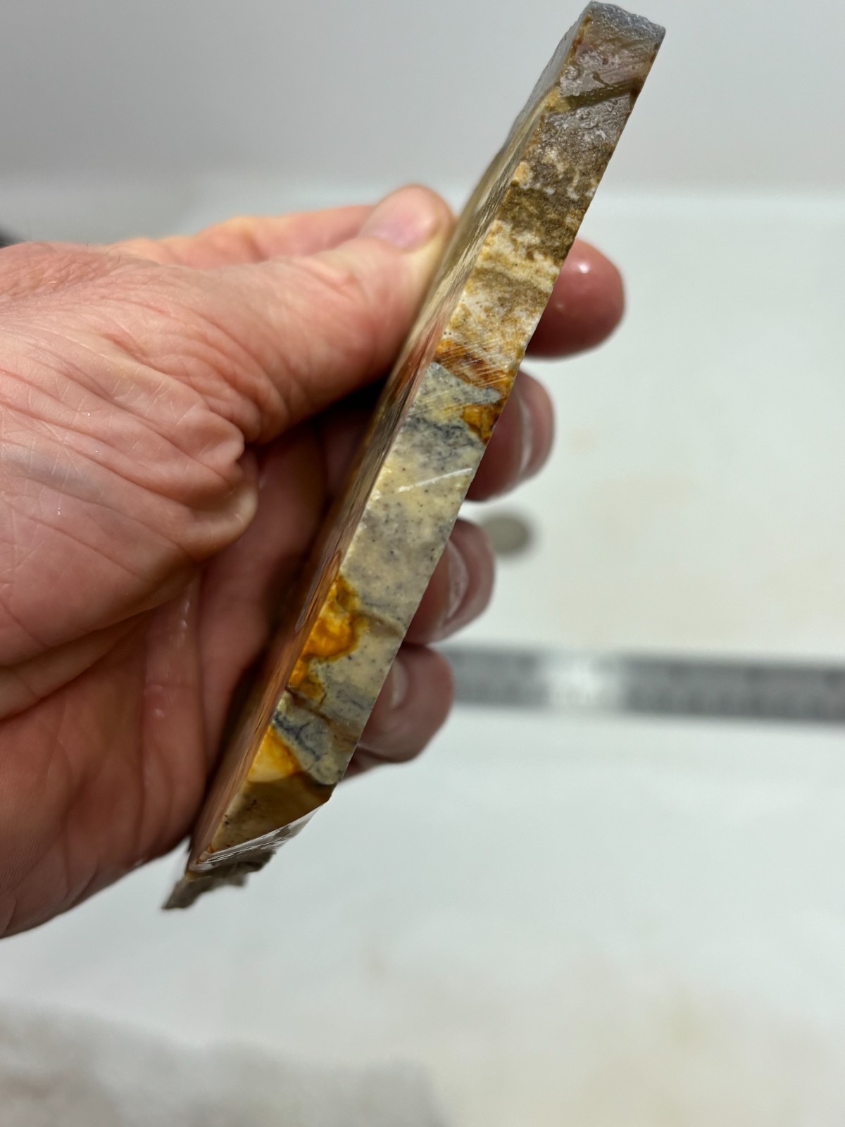 Disaster Peak Picture Jasper Slab Cabbing Lapidary Collecting Combo Ship Avail