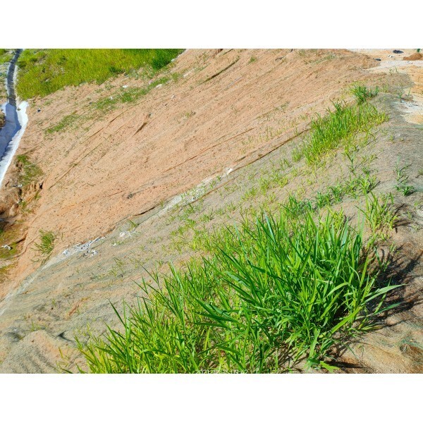 Vapor Barrier Supply - Straw Erosion Control Blanket