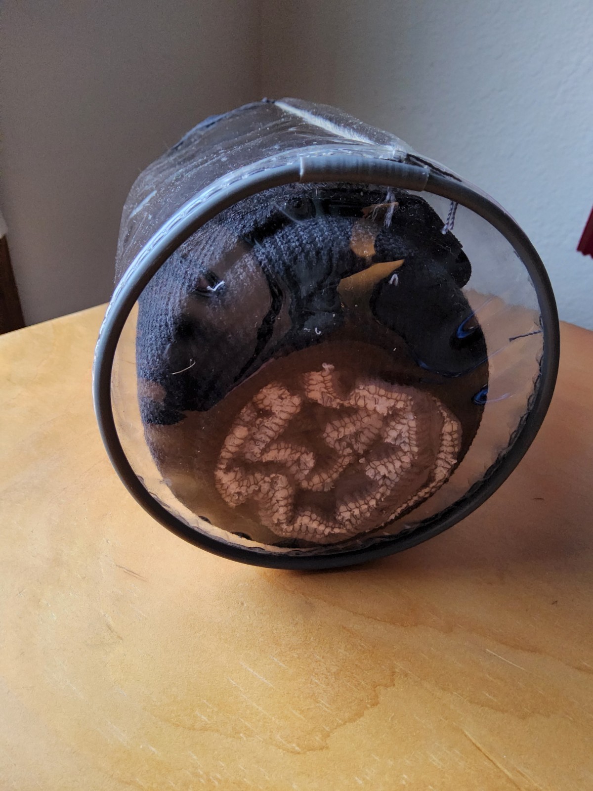 Eskadron Climatex Bandages- Black