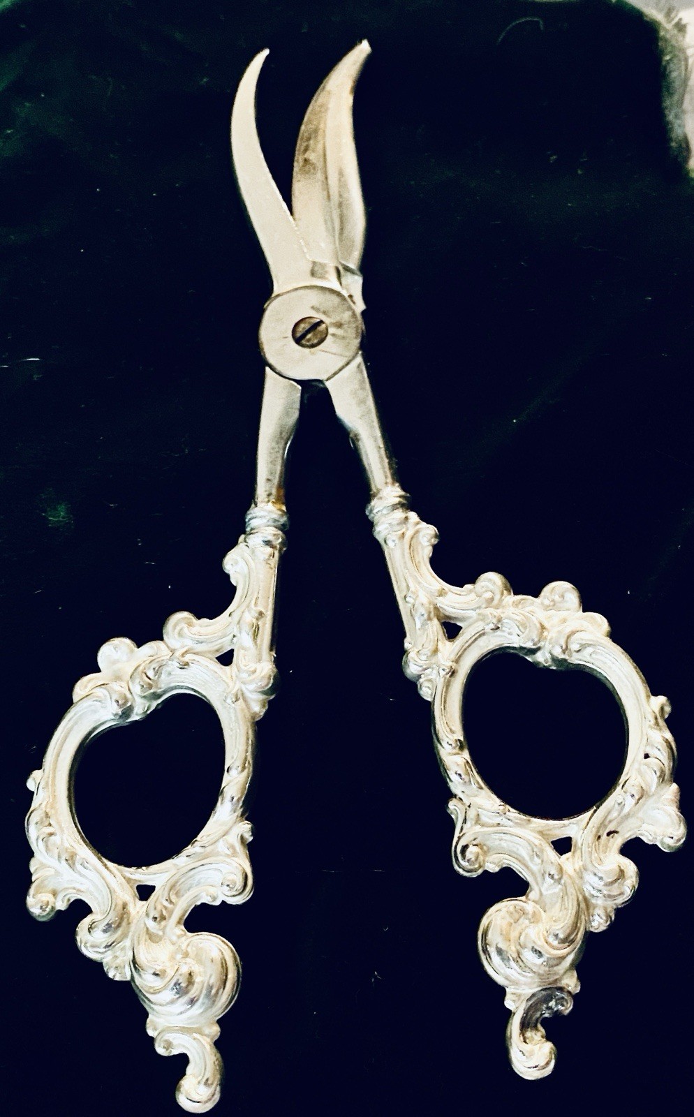 SALE! Antique Sterling Silver Grape Shears circa 1852. Beautiful.