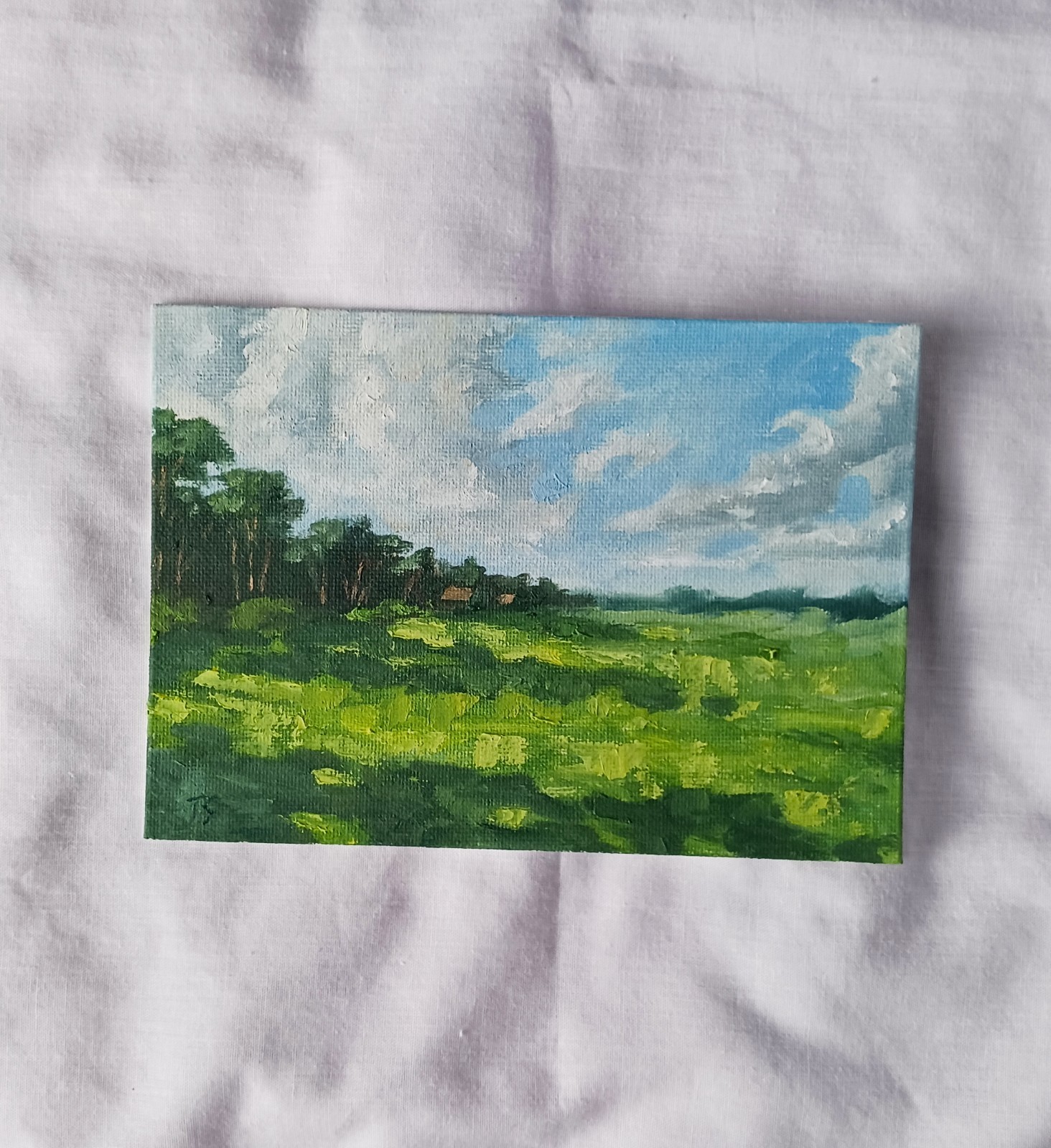 ORIGINAL Oil Painting Modern Impressionism Landscape Green Grass Sun Field 5"x7"