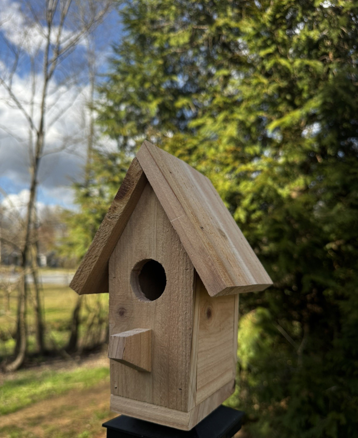 Handmade Cedar Birdhouse w/ Chimney Rustic Outdoor Wren Chickadee Nest Box