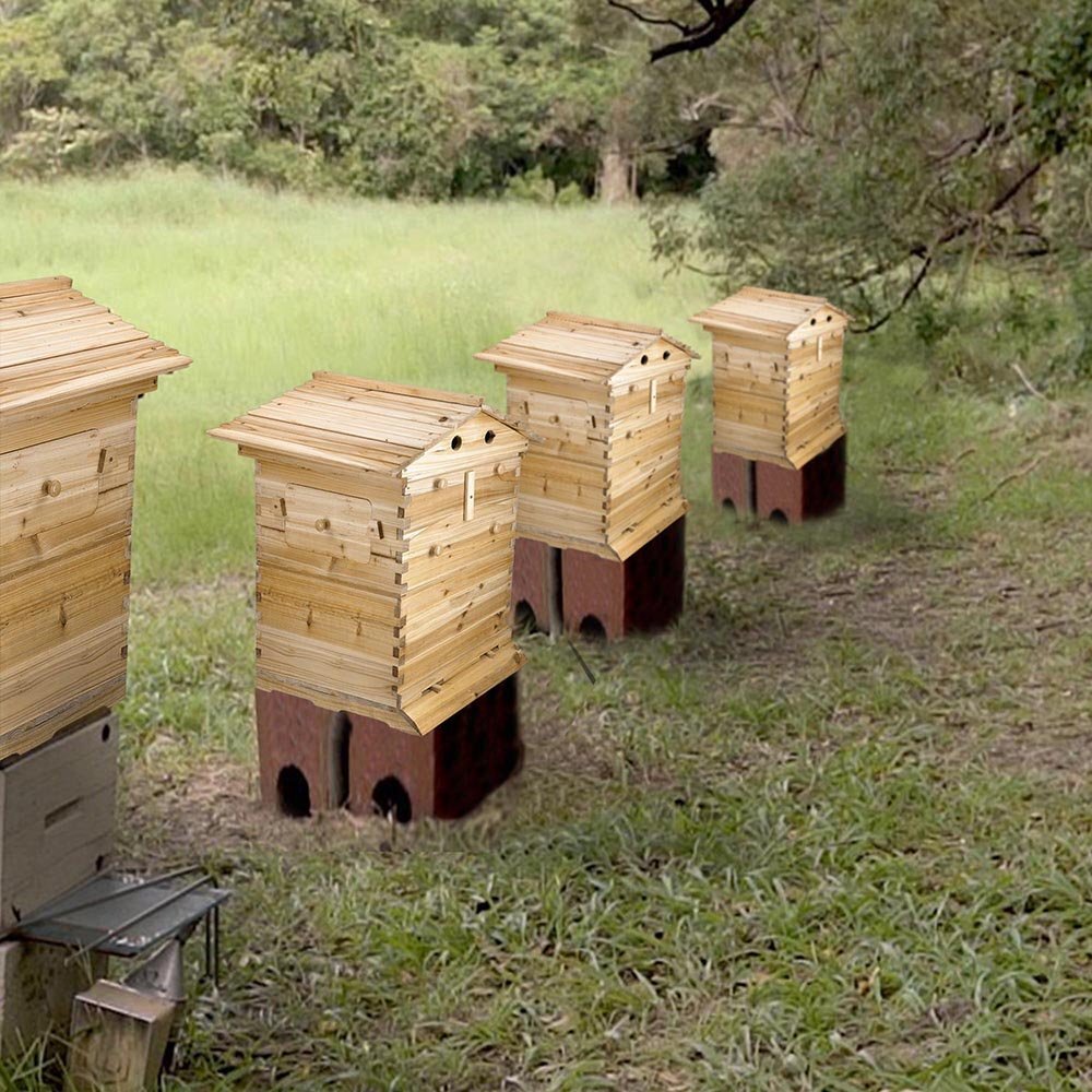 Wooden Auto Seep Bee Hives Boxes Langstroth Bee Hive+BPA free Beekeeping Frames