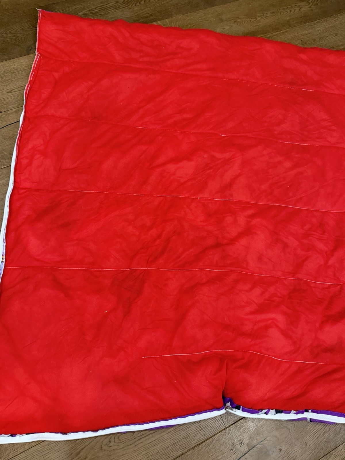 Vintage Goosebumps Skateboarding Mummy Sleeping Bag RL Stine Halloween 27x54