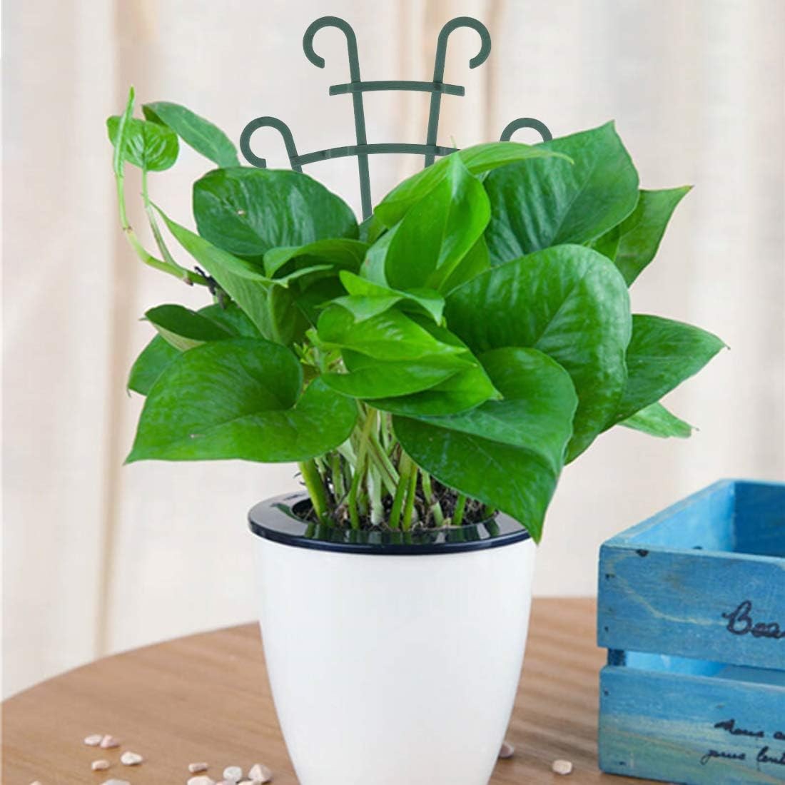 4 Pcs Trellis For Potted Plants Garden Trellis For Climbing Plants Outdoor for V