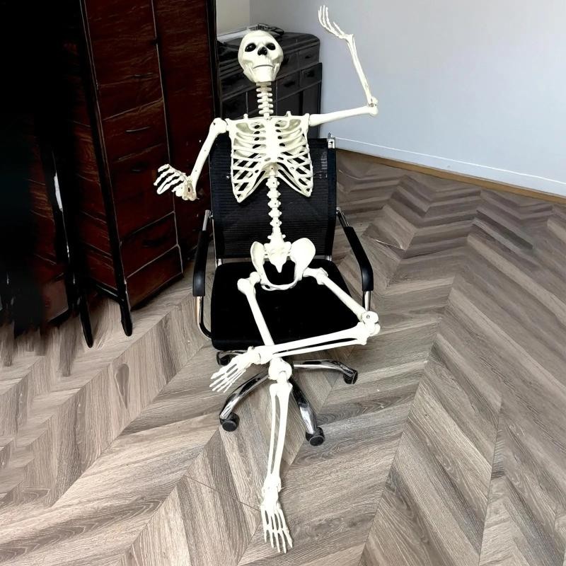Halloween Realistic Body Bones Life Size Human Skeleton with Posable Joints