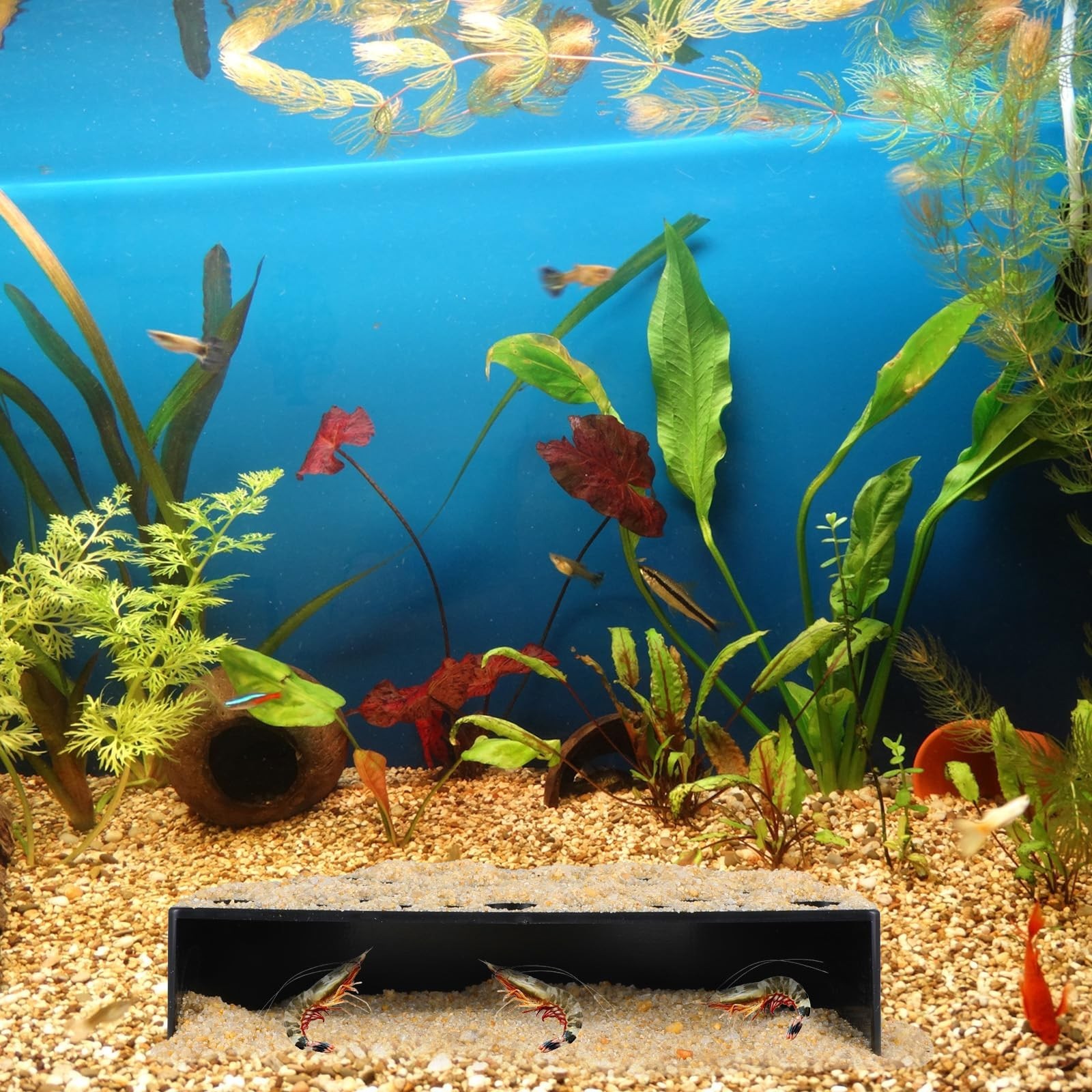 2 Pcs Shrimp Hides for Aquarium, Shrimp Breeding Caves Hideout Shelters for P...