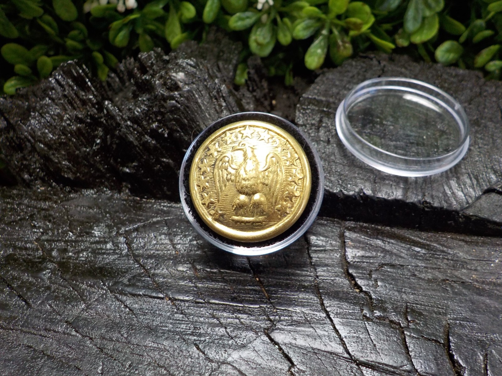 24k Gold Plated Confederate Staff Officers Coat Button with Free Button Case