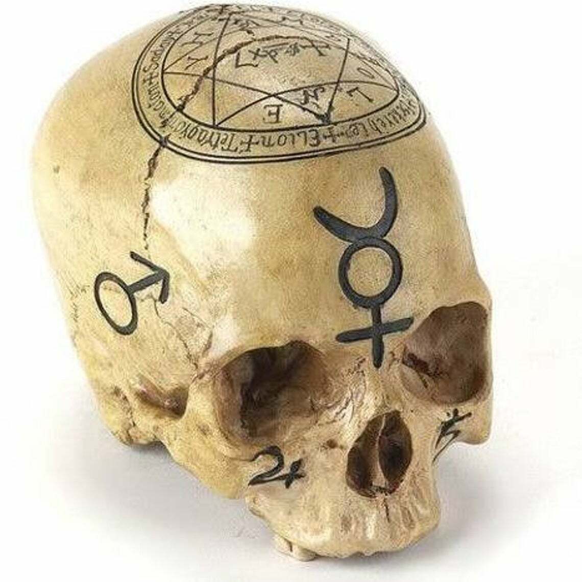 Alchemy Skull, Pentagram Skull, Real Human Skull Replica, Astrology Skull