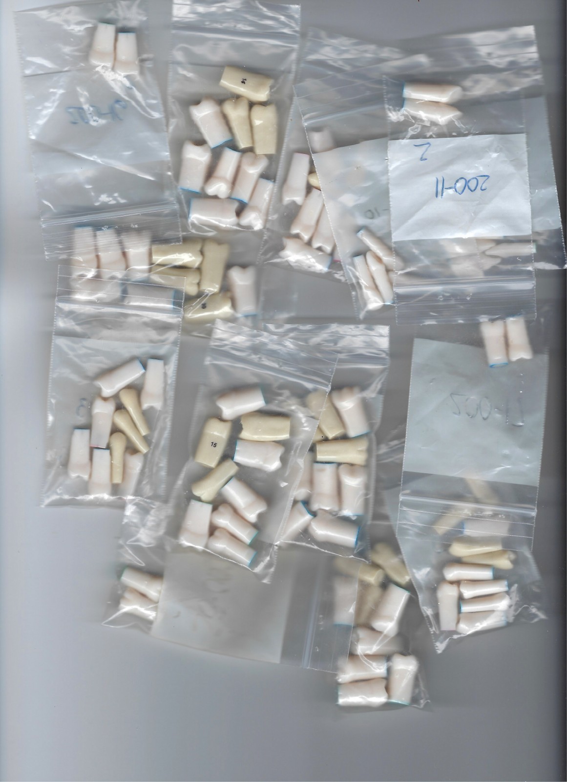 Nissin Kilgore 200 Series Typodont Replacement Teeth, #1-#32, 245 pcs