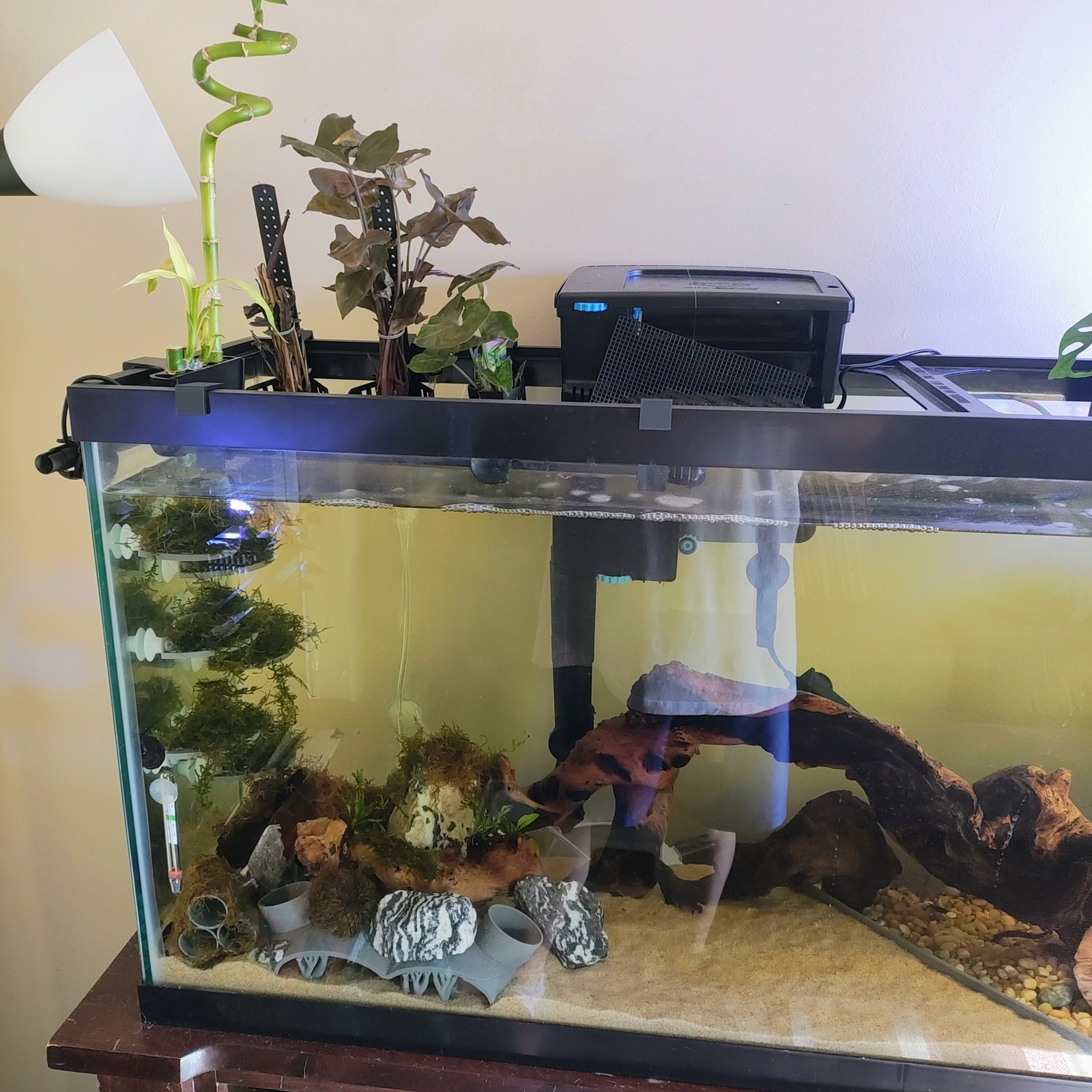 Aquarium Plant Holder with Stem Trellis for Live Plants | Over-The-Rim Planter