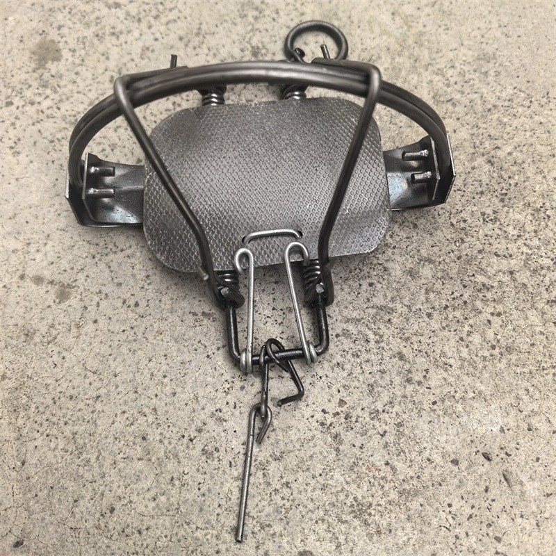 Coil Spring Traps Coyote Raccoon Mink Mouse Rat Nutria Muskrat Survival Trapping